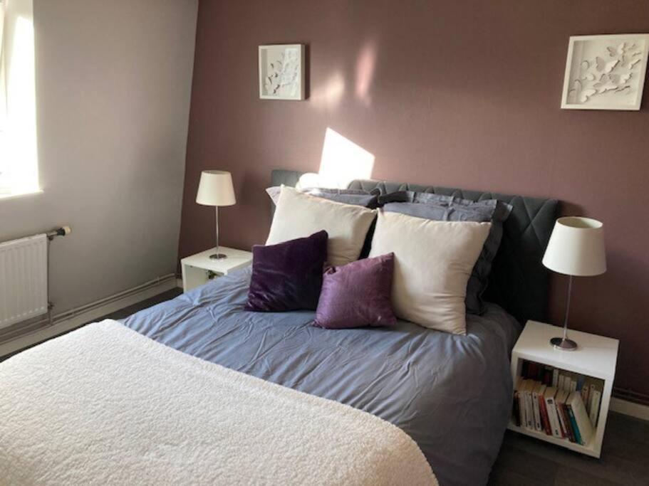 Agreable Et Spacieuse Maison Centre Ville Saint-Omer Exterior foto